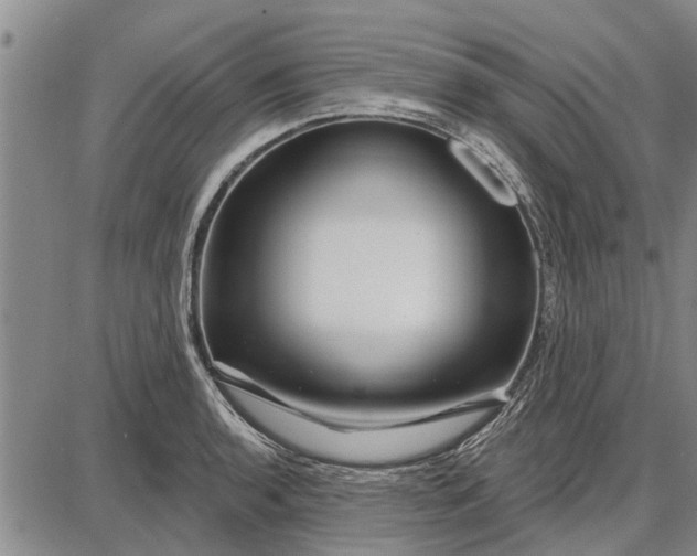 X0000087681136200705181723