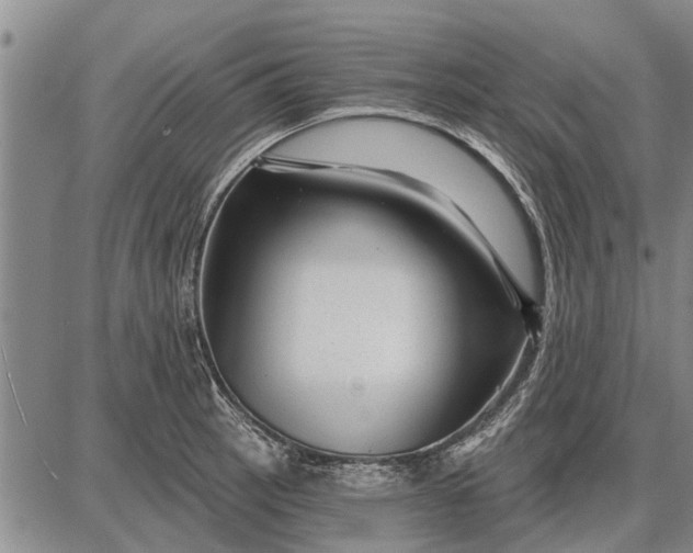 X0000087681137200705181723