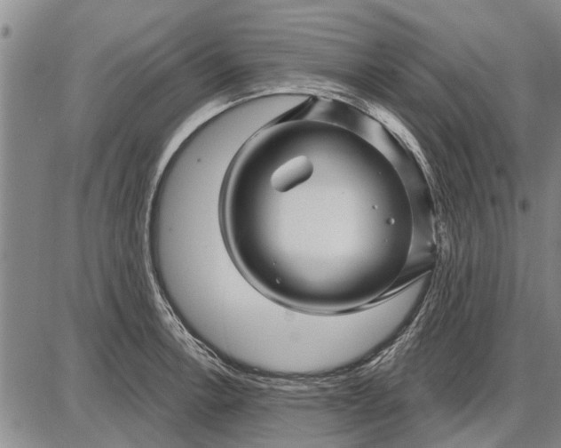 X0000087681138200705181723