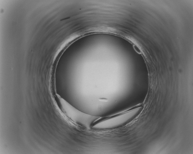 X0000087681139200705181723