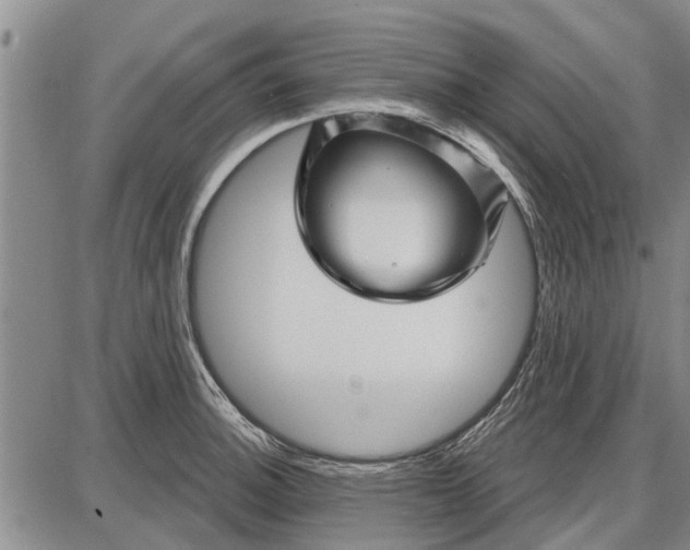 X0000087681140200705181723