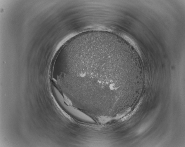 X0000087681141200705181723