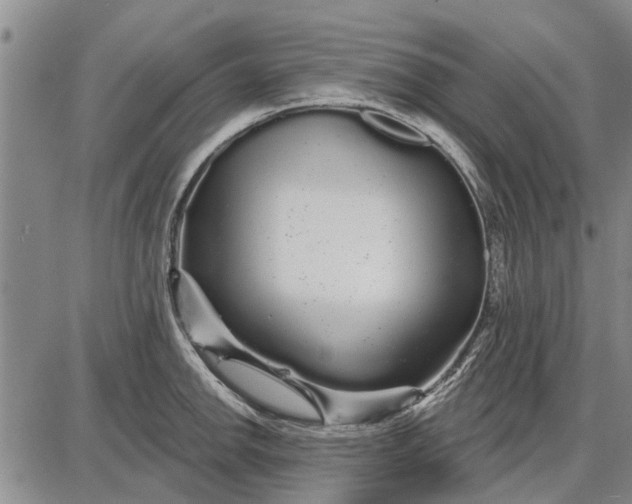 X0000087681142200705181723