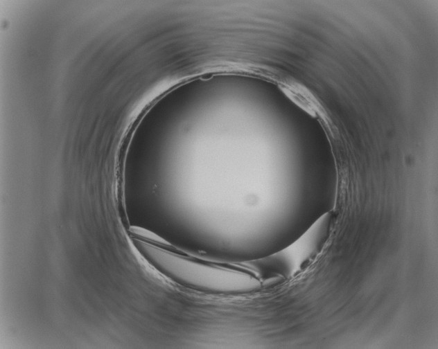 X0000087681143200705181723