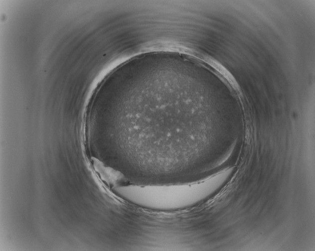 X0000087681144200705181723