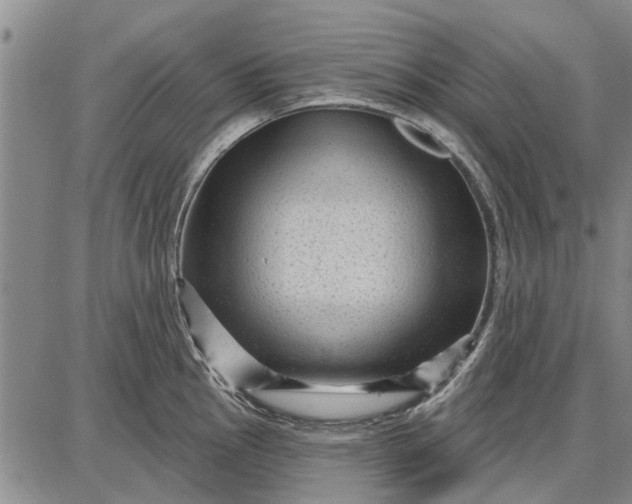 X0000087681145200705181723