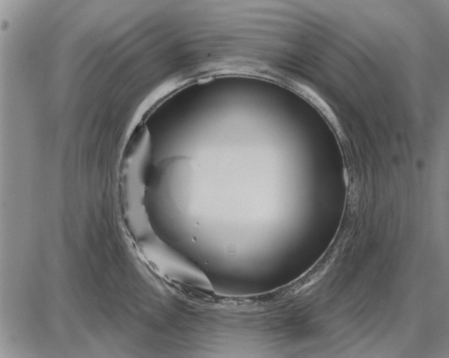 X0000087681146200705181723