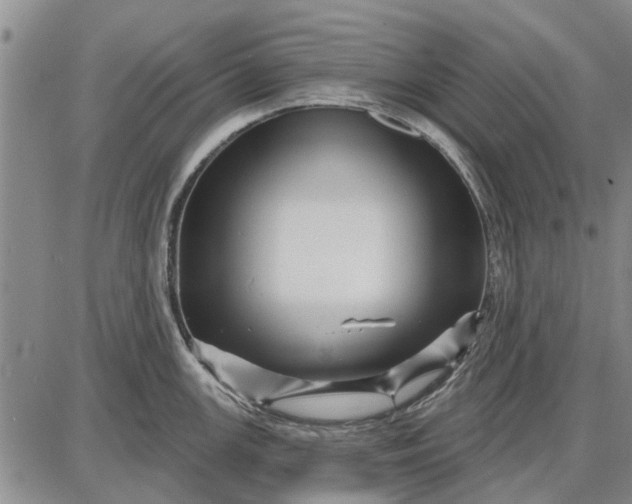 X0000087681147200705181723