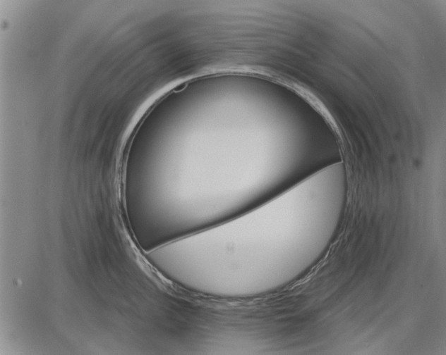 X0000087681148200705181723