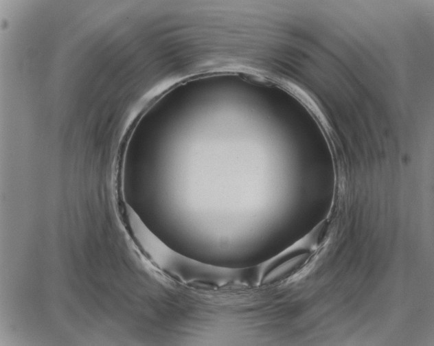 X0000087681149200705181723