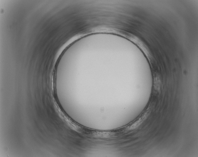 X0000087681150200705181723