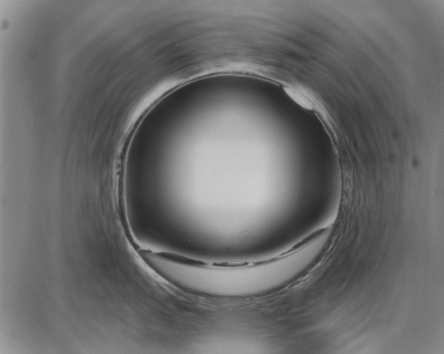 X0000087681151200705181723