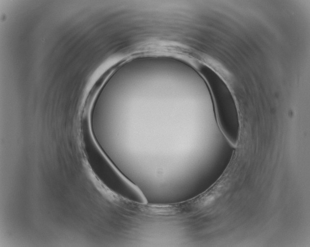 X0000087681152200705181723