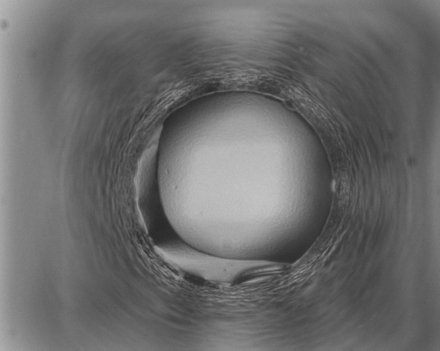 X0000087681153200705181722