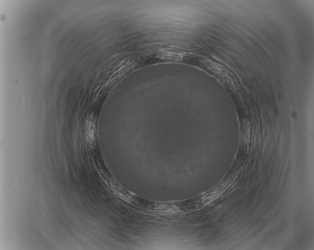 X0000087681154200705181722