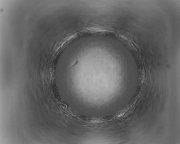 X0000087681157200705181722