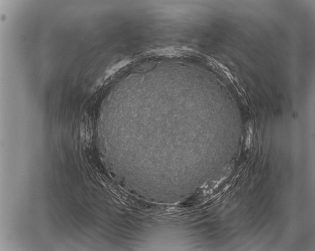 X0000087681158200705181722