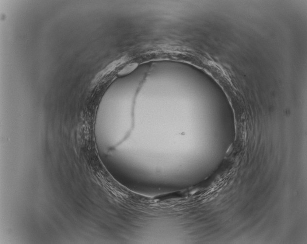 X0000087681159200705181722