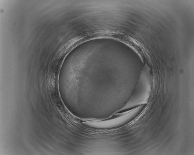 X0000087681161200705181722