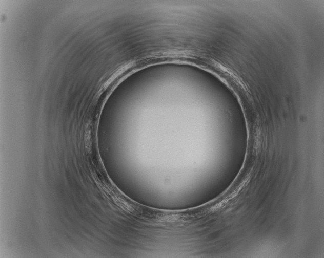 X0000087681162200705181722