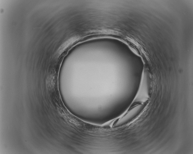 X0000087681163200705181722