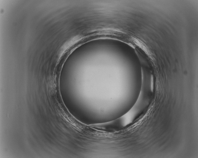 X0000087681164200705181722