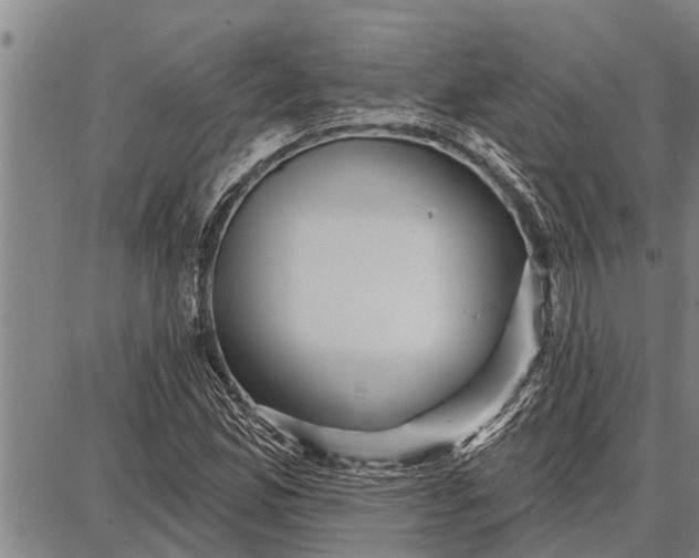 X0000087681165200705181722