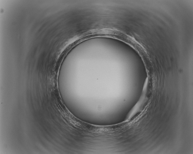 X0000087681166200705181722