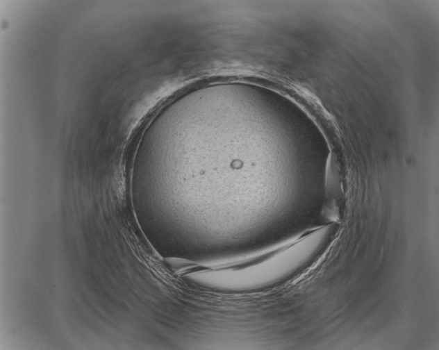 X0000087681167200705181722