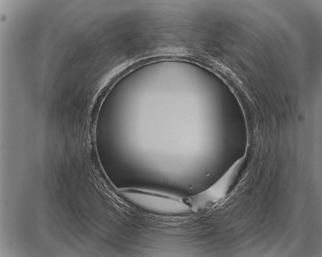 X0000087681168200705181722