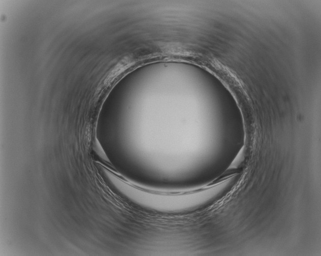 X0000087681169200705181722