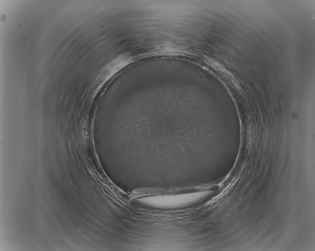 X0000087681170200705181722