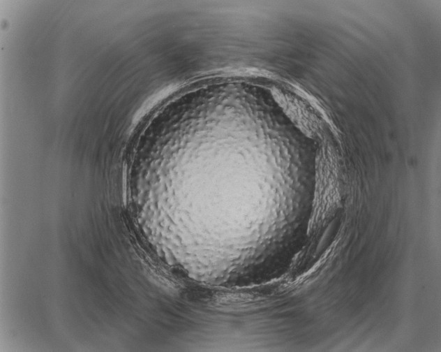 X0000087681171200705181722