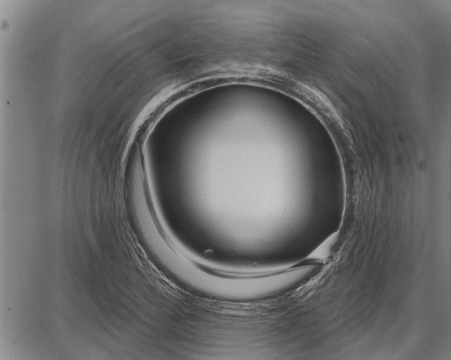 X0000087681172200705181722