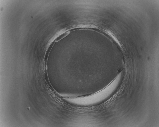 X0000087681173200705181722