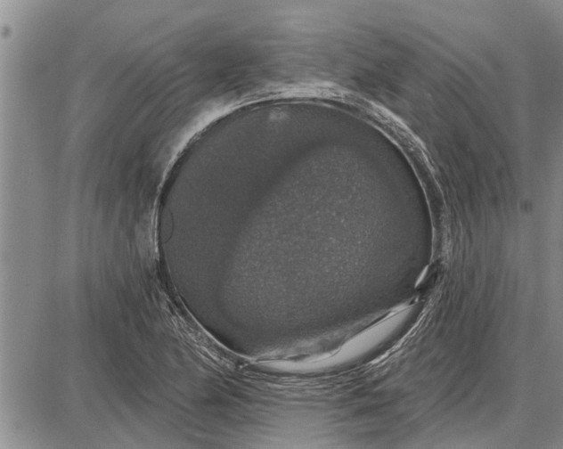 X0000087681174200705181722