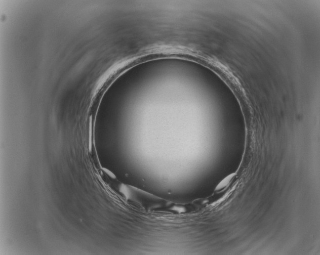 X0000087681175200705181722