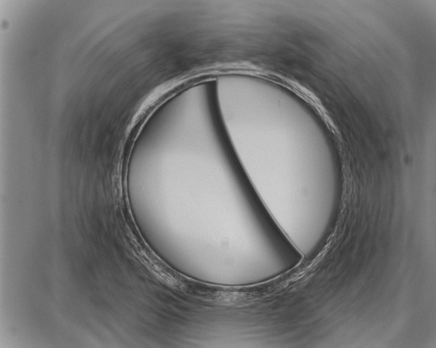 X0000087681176200705181722