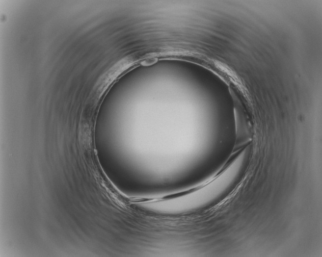 X0000087681177200705181722