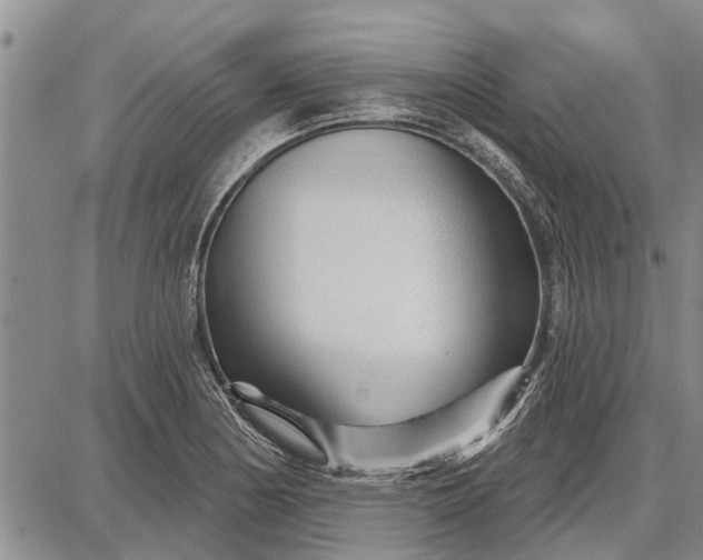 X0000087681178200705181722