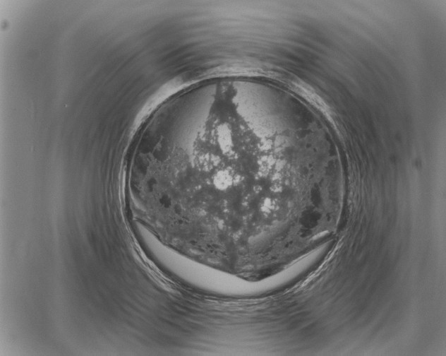 X0000087681179200705181722