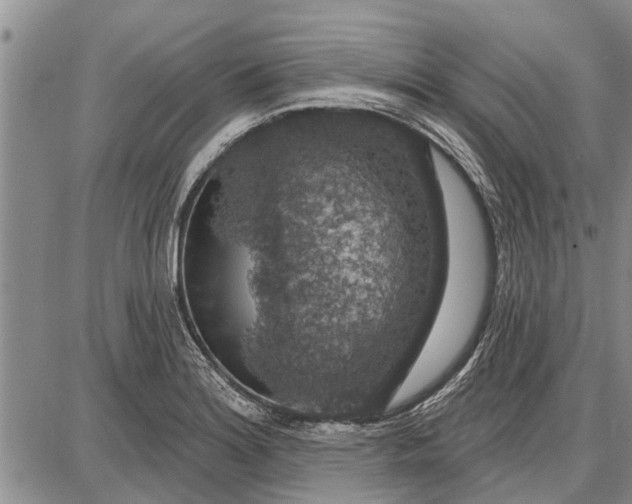 X0000087681180200705181722