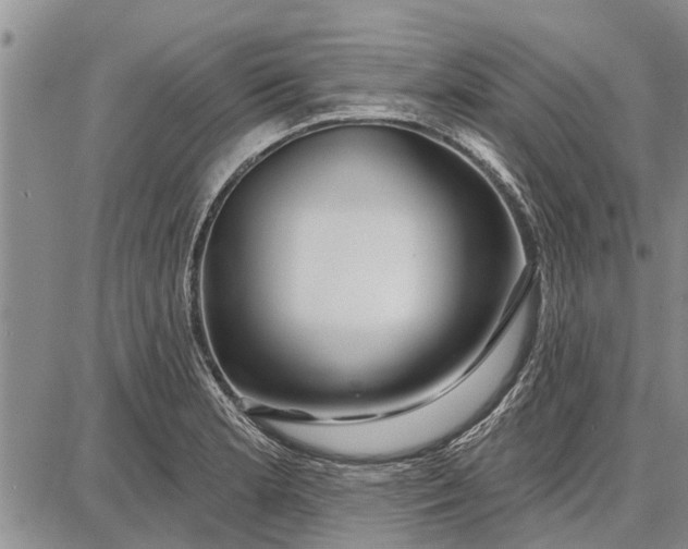 X0000087681181200705181722