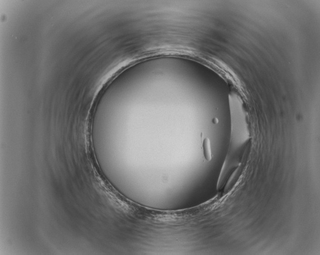 X0000087681182200705181722