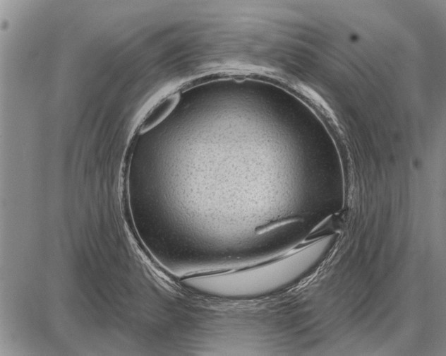 X0000087681183200705181722