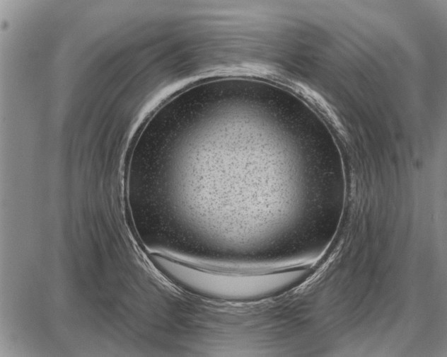 X0000087681184200705181722