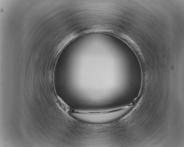 X0000087681185200705181722