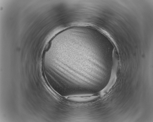 X0000087681187200705181722