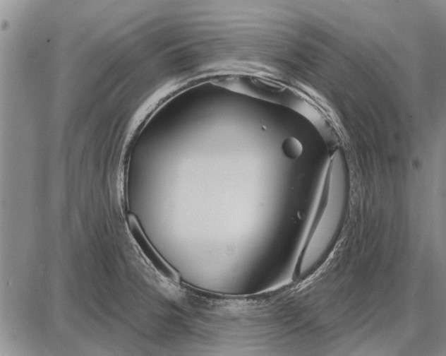 X0000087681188200705181722