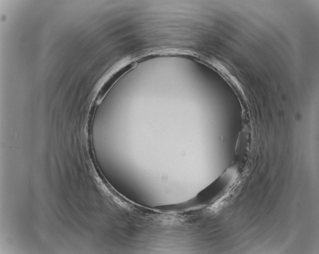 X0000087681189200705181722